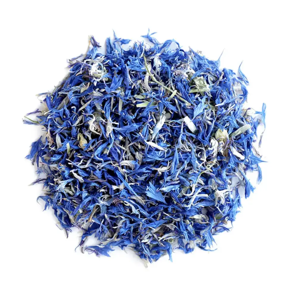 Blue Cornflower