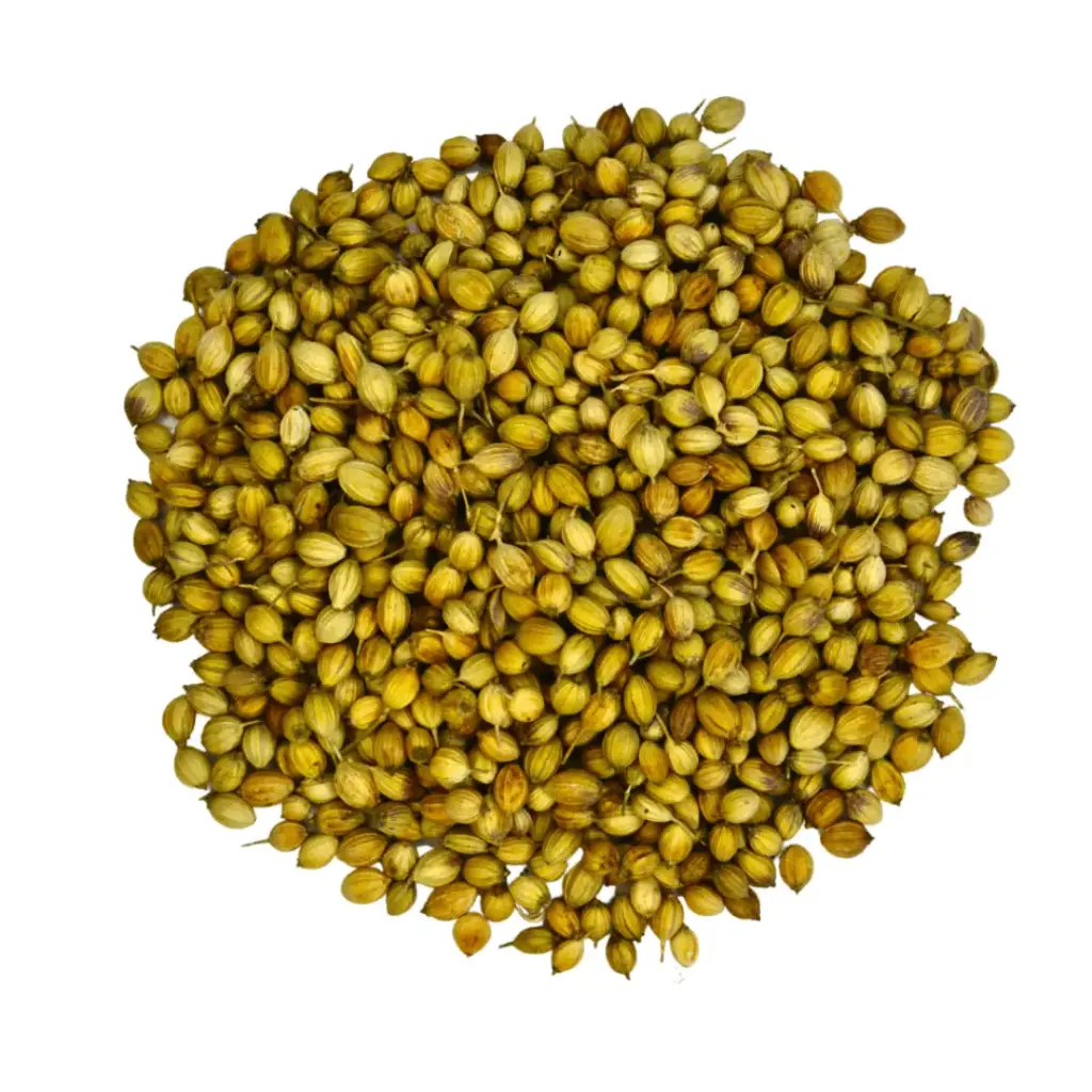 Coriander
