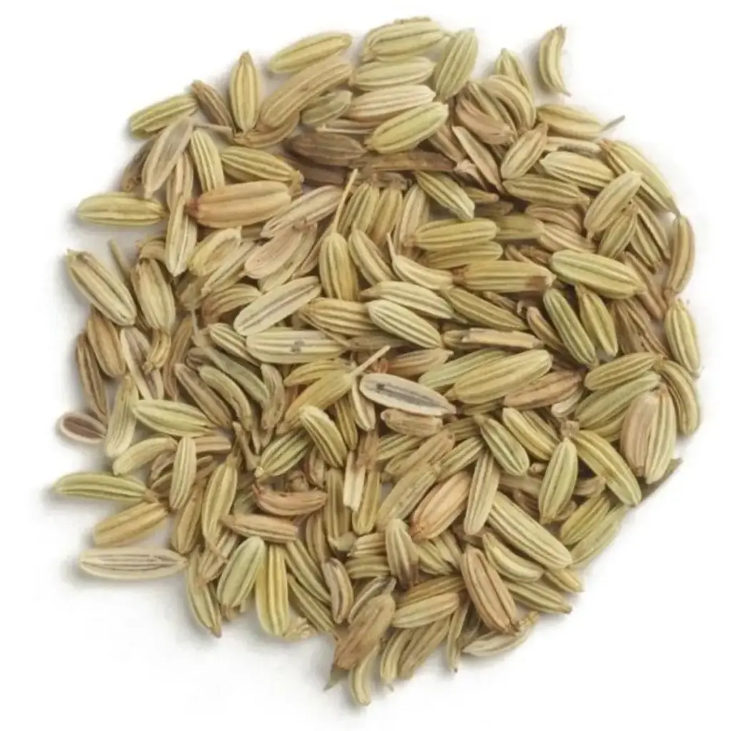 Fennel