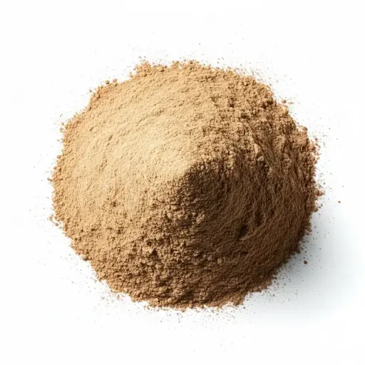 Giloy Powder