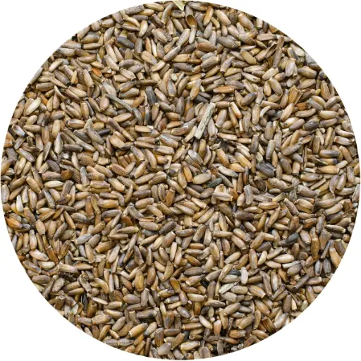 Milk Thistle Crushed