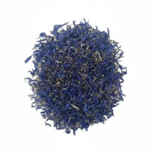 Blue Cornflower