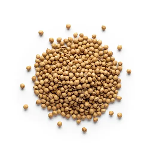 Coriander