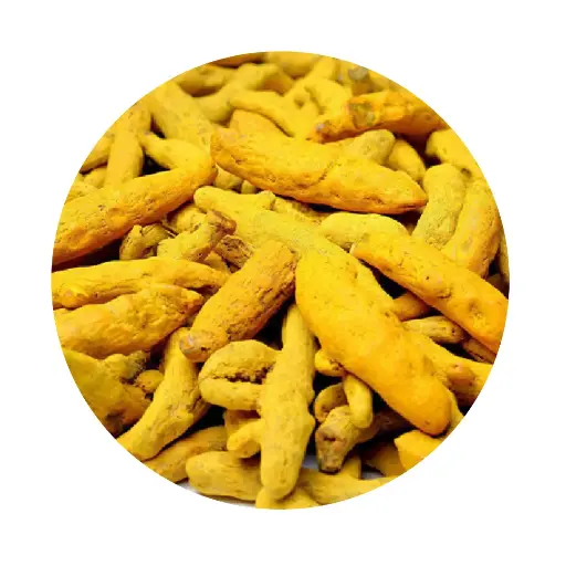 [Turmeric,Turmeric Whole,Turmeric Fingers,Turmeric Fingers slices] Turmeric